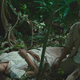 Illustration for article titled Tragic Jungle’s plunge into the heart of darkness lacks the wildness of Herzog